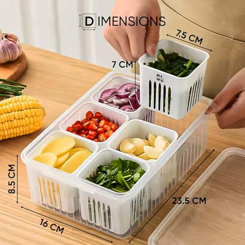 Image of 6 Grid Fridge Storage Box with Lid | 250 ML Each Compartment | Plastic Freezer Safe Vegetable & Food Storage Container | Refrigerator Organizer Tray for Veggies, Snacks & Leftovers