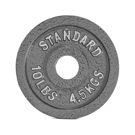 CAP Barbell Olympic 2-Inch Weight Plate, GRAY 10 LBS( 4.5 KGS), Single