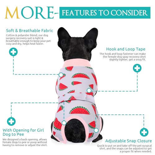 Image of KOESON Lightweight & Soft Surgery Recovery Suit for Large Dogs Female Male