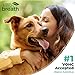 TropiClean Fresh Breath Water Additive for Dogs with Glucosamine, Hip and Joint Support for Dogs, Breath Freshener & Teeth Cleaning Solution, 16oz.