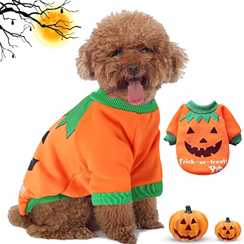 Costume Da Cane I 15 migliori prodotti a confronto Mondodeicani