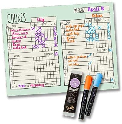 Multiple Child Chore Chart - Magnetic Daily Household Chore Checklist - Two Child Behavior, Job, Reward Chart - Dry Erase - 17" x 14"- Two Dry Erase Liquid Chalk Markers - Mint