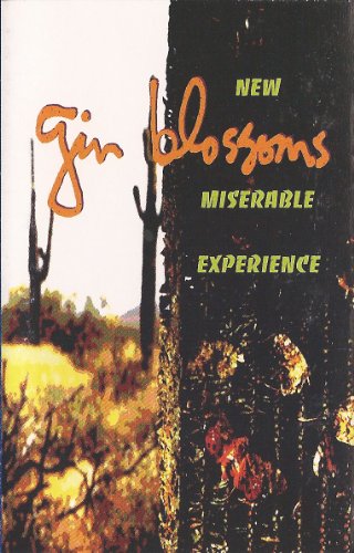 New Miserable Experience