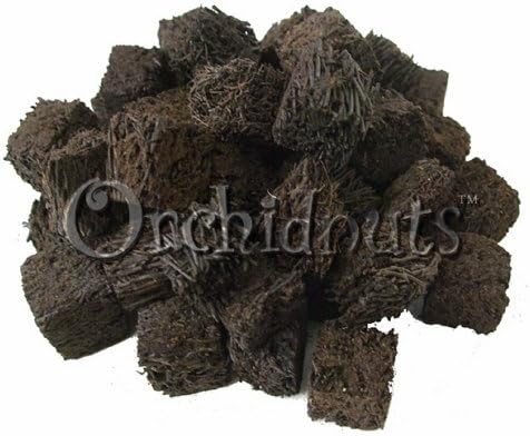 Cubed Tree Fern Nuggets for Orchids - Growing Media - 1 Pound