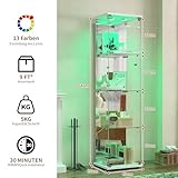 BPKADHY B0DYJH6B9B lato 2