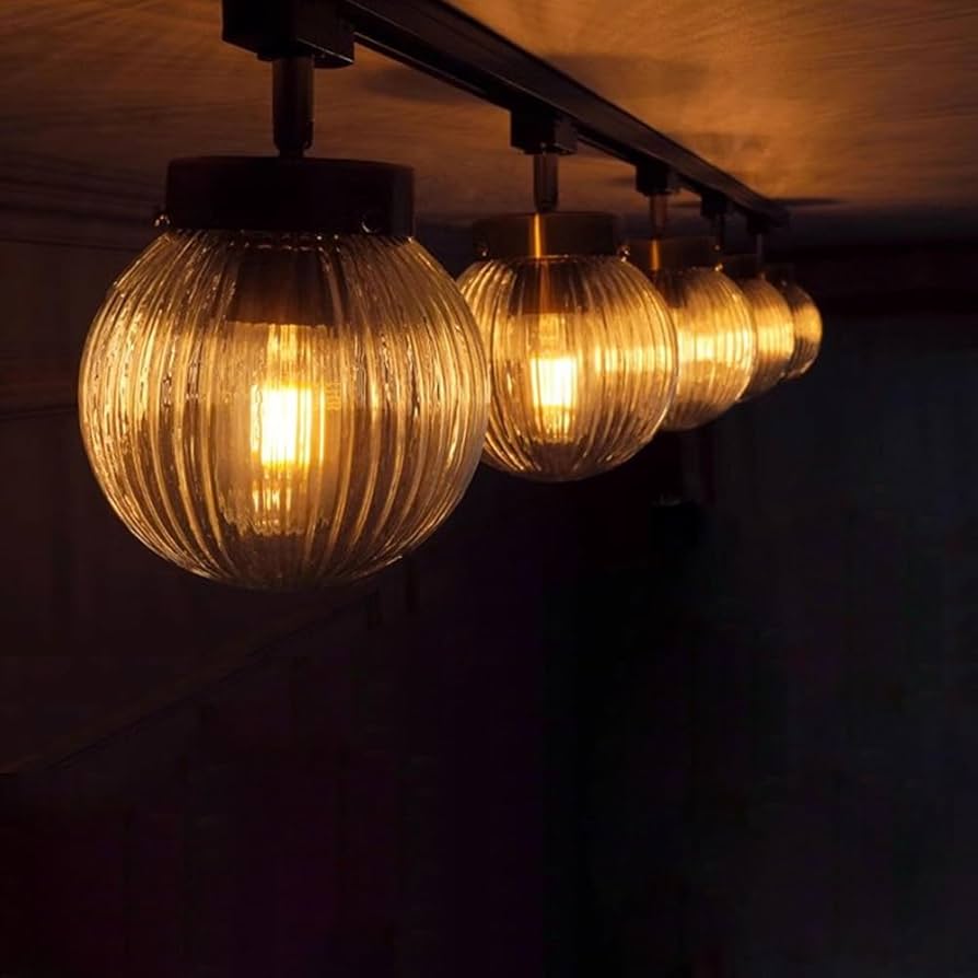 Amazon | ダクトレール用スポットライト ガラスシェード hofphd レトロ