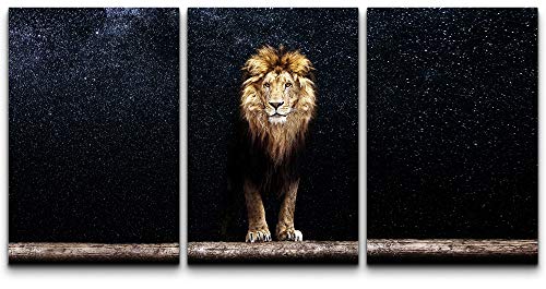 SIGNFORD Canvas Print Wall Art Set Lion Portrait in The