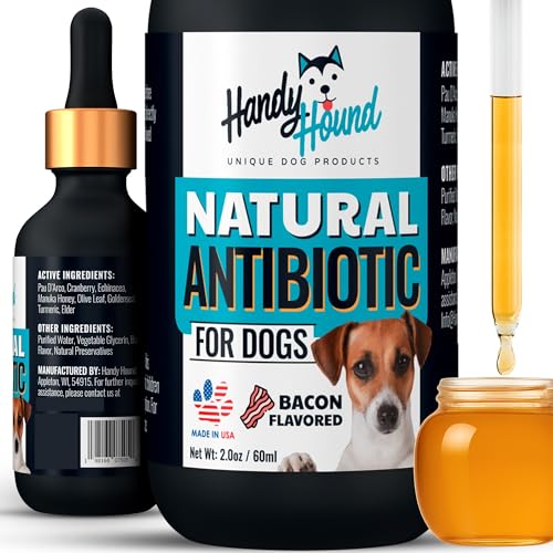 Natural Antibiotics for Dogs Without Vet Prescription – Dog Antibiotics for Infection, Cough, UTI, Allergies – Dog Itching Skin Relief Supplement – Bacon Flavor – 2 oz