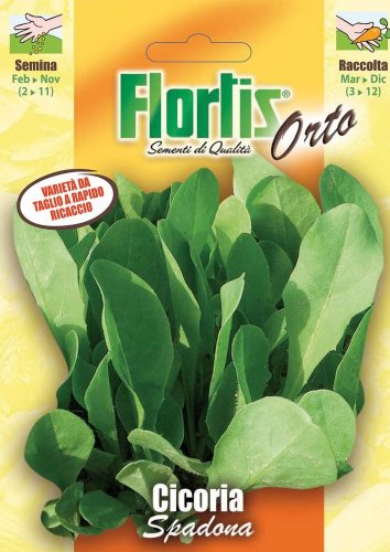 Flortis