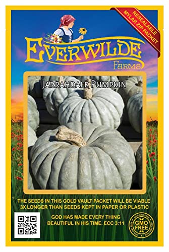 Everwilde Farms - 20 Jarradale Pumpkin Seeds - Gold Vault Jumbo Seed Packet #TOP5