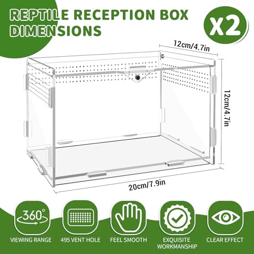 2 conjuntos de acessórios de tanque de répteis transparentes de acrílico, mini gabinete de aranha 19