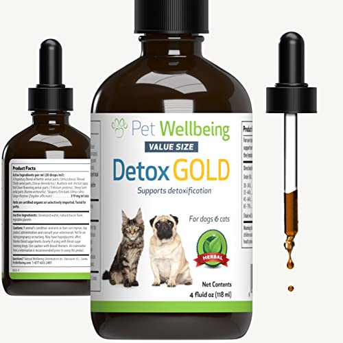 Top 10 Best Pet Wellbeing Kidney Support Gold For Cats 2023 Reviews