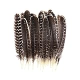 20pcs Natural Turkey Feathers Bulk 10-12 inch Wild Turkey Feather for DIY Crafts Project Collection