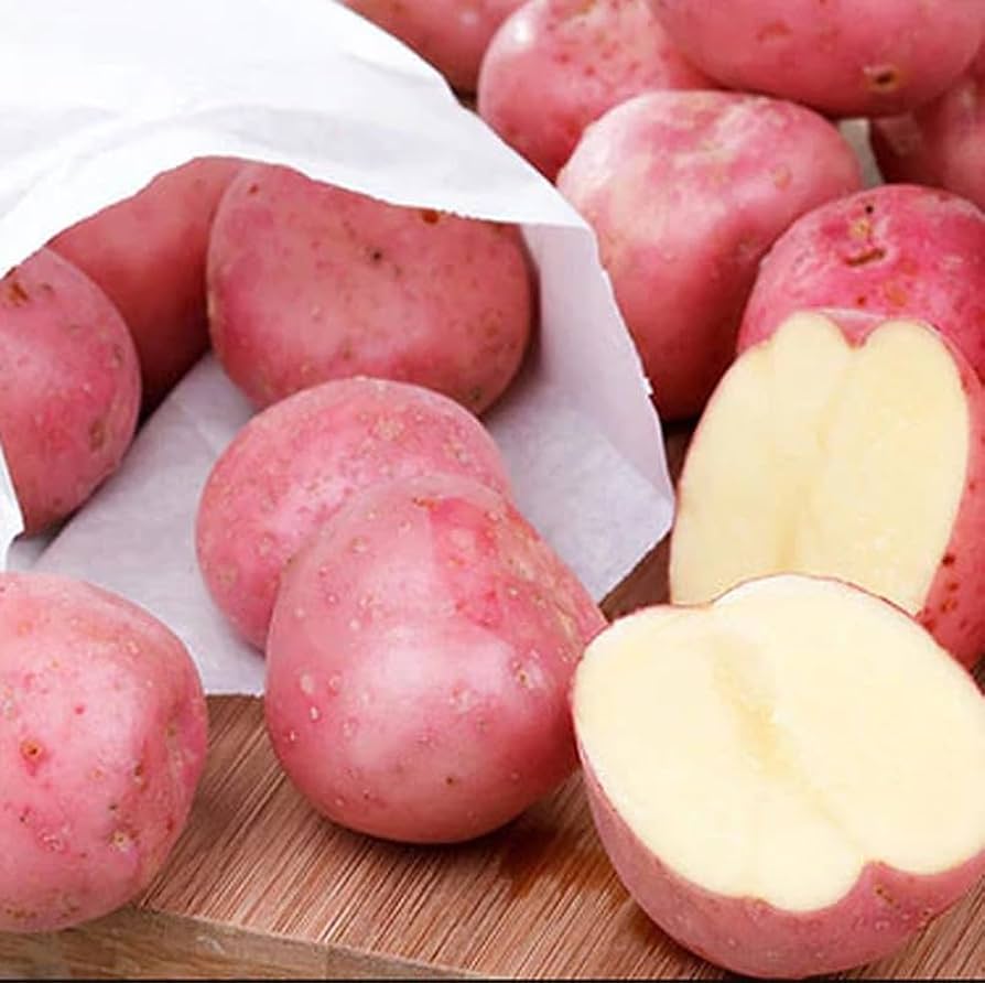 PaTaTAs 2点 Amazon.com : Red Potato Seeds, 60 Seeds True Potato Seeds