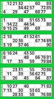 Thomas & Anca Club Supplies Ltd 600 Bingo Tickets - Pad of Green 6 to View Flyers Large Clear Jumbo Numbering