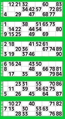 Thomas & Anca Club Supplies Ltd 600 Bingo Tickets - Pad of Green 6 to View Flyers Large Clear Jumbo Numbering