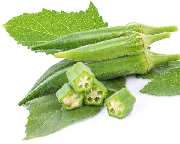Hybrid Okra/Lady Finger Seeds Leafy Tales Lady Finger Seeds for Home Kitchen Gardening 40 seeds (B0CH3R2M3Z) Amazon Price History, Amazon Price Tracker