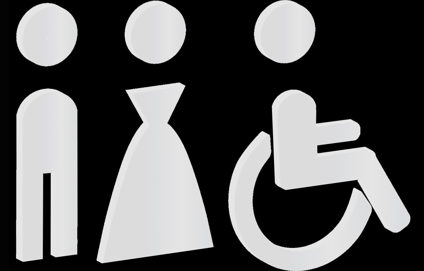 VSafety General Panneau de Toilette pour Personnes handicapées, 71051AM