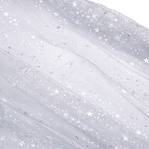 LdawyDE Tüllstoff, 160cm Breit Tüllstoff Meterware, Glitzer Garn Tüll Deko Stoffe für DIY Bekleidung & Deko, Weich und Fein Hochwertig Cover
