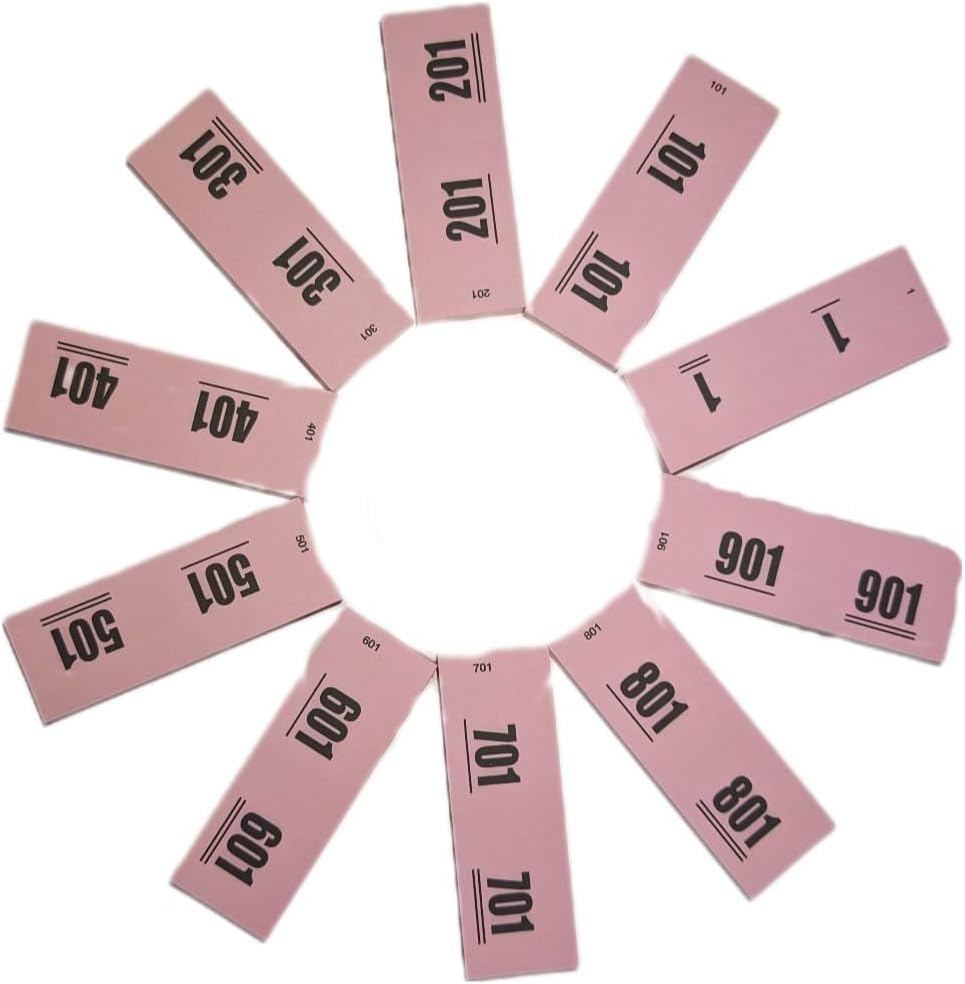 Ameisenkeks Números dobles ROSA dígitos 1-1000 - 10 bloques