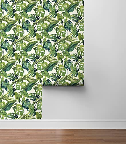 Image of Tommy Bahama - Peel and Stick Wallpaper, Tropical Wallpaper for Bedroom, Powder Room, Kitchen, Vinyl, 30.75 Sq Ft Coverage (Falling Fronds Collection, Aloe)