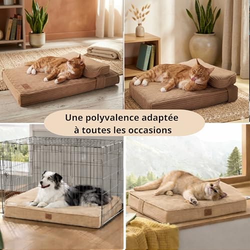 Panier orthopédique pour chat medium avec matelas dehoussable