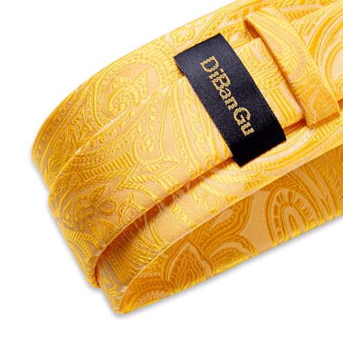 Image of DiBanGu Silk Floral Ties for Men Woven Paisley Necktie and Tie Clip Handkerchief Cufflinks Set for Party Wedding