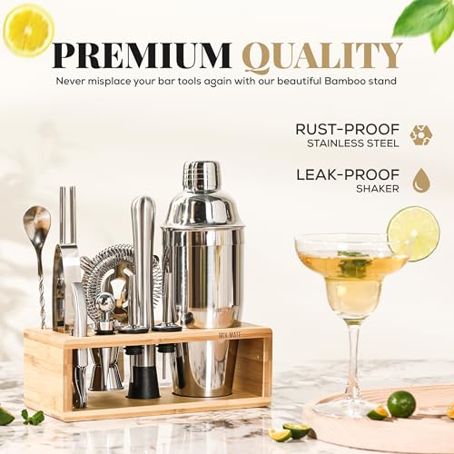 Image of Mixology Bartender Kit with Stand - 15 Piece Bar Tool Set, Silver Bar Set Cocktail Shaker Set for Drink Mixing - Includes Martini Shaker, Jigger, Strainer, Bar Mixer Spoon, Tongs | Gift Idea (Natural)