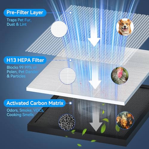 Image of Air Purifiers for Home up to 2200 Ft Large Room, H13 Hepa Air Purifier with PM2.5 Air Quality Monitor Display, Air Cleaner Filter Smoke, Pet Dander, Dust, Odor, Pollen for Office, Bedroom, Allergies