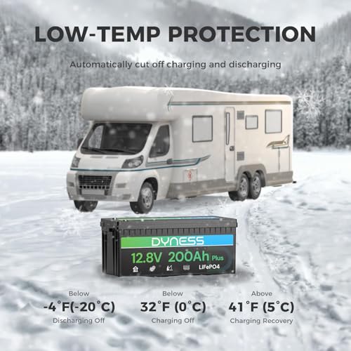 Image of Dyness 12V 200Ah PLUS LiFePO4 Battery, Max. 2560Wh Power, 12.8V LiFePO4 Battery Upgrade 200A BMS with Low-Temp Protection, 4000+ Deep Cycles 12V Lithium Battery Perfect for RV, Solar System, Off-Grid
