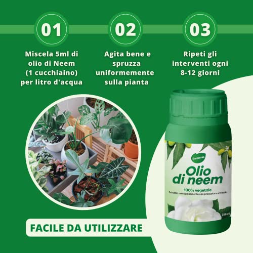 Gardemia Neem Olie voor Planten 100% Plantaardig Natuurlijk Afweermiddel Tegen Bladluizen Cochenille Spintmijt Muggen… - Image 7