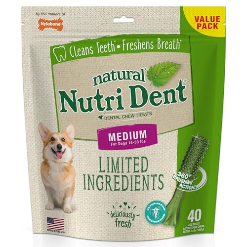 Image of Nylabone Nutri Dent Dog Dental Treats - Natural Dog Teeth Cleaning & Breath Freshener - Dental Treats for Dogs - Fresh Breath Flavor, Medium (40 Count)