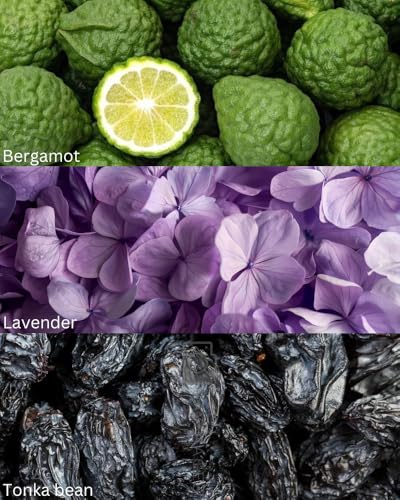 Image of TOXICMALE Perfect Long Lasting Unisex Liquid Fragrance For Unisex, Fresh Spicy & Amber & Vanilla & Aromatic Scent Perfume For All Occasions, 50ml (TMA05)