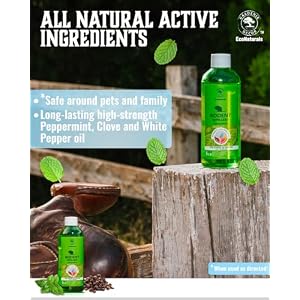 All Natural Peppermint Oil Spray, Non-Toxic Rat Repellent to Repel Mice and Rats, Rodent Repellent Spray - 8 oz Concentrate All Natural Peppermint Oil Spray, Non-Toxic Rat Repellent to Repel Mice and Rats, Rodent Repellent Spray – 8 oz Concentrate
