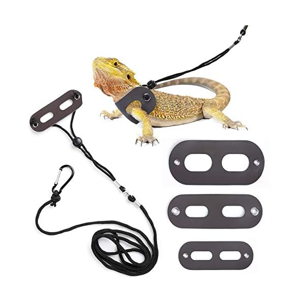 Polkastore bearded dragon harness and leash adjustable(s,m,l, 3 pack) - soft leather reptile lizard leash for amphibians and other small pet animals