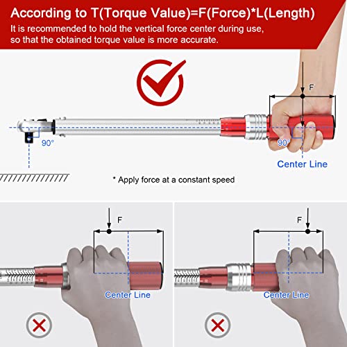VANPO Chiave Dinamometrica 3/8, 10-110 Nm Chiavi