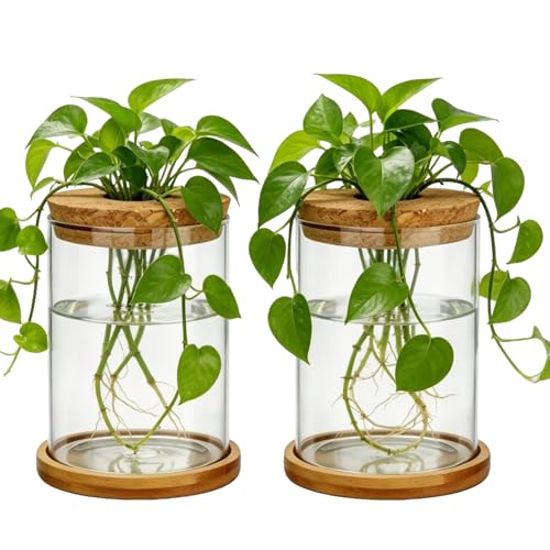 LAGWIUY Glass Plant Propagation Stations, 2PCS Hydroponic Vases with Wooden Lid and Bamboo Stand for Plant Growing, Home & Office Decor