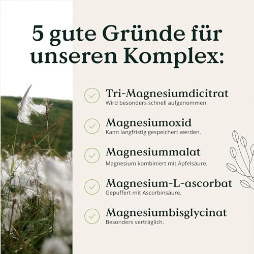 NATURE LOVE® Magnesium Komplex - 180 Kapseln - 400mg elementares Magnesium je Tagesdosis - Magnesiumcitrat, Magnesiumoxid, Magnesiumbisglycinat, Magnesiummalat, Magnesiumscorbat - Vegan, hochdosiert 4
