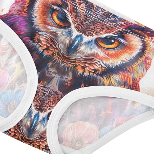 Owl Colorful Flowers Feathers Toddler Girls Underwear 2t Cotton Cute Panties Girl Fun Kids Undies Briefs4
