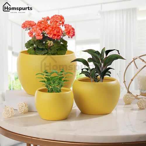 Image of Elegant Yellow Matte Finished Tabletop Planters Pots for Plants Flowers, Living Room Drawing Room Balcony Office Decoration Ideas for Plants Set of 3 (Plants not Included)