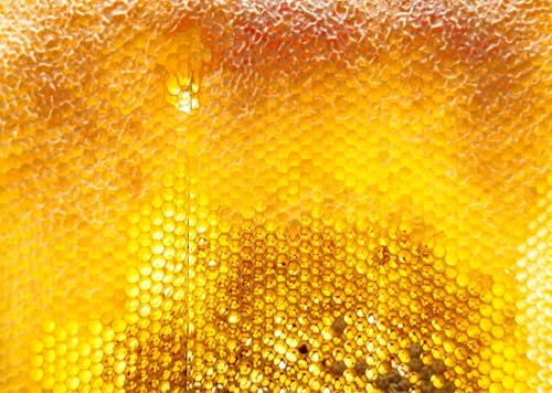 Tela de fondo dorado 7x5 pies para fotos miniatura 5