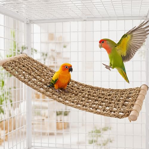 Perchoir conique de cage FlidRunest pont d'échelle pour oiseau - 2