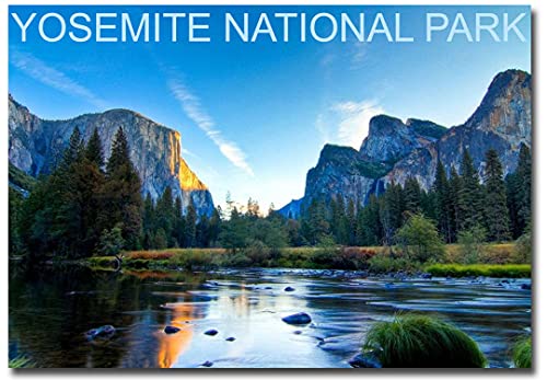 Imán de refrigerador Yosemite National Park tamaño 2.5 x 3.5 miniatura 1