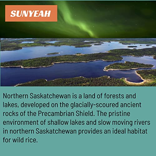 Organic Canadian Wild Rice, 2 Kg(4.4 Lb), Grade A, Full Grain（10-15Mm）, Canadian North Saskatchewan Organic Ice Lake Harvest Long Grain Wild Rice, Bulk Wild Rice Organic, No-Gmo, Gluten Free, Vegan #TOP6