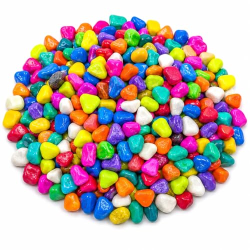 Image of Bindian Decorative Pebble Stone, Multicolour, Natural Stone, Smooth & Polished, for Aquarium, Garden, Plant Pot, Fountain Decor (3 Kg, Multicolor)