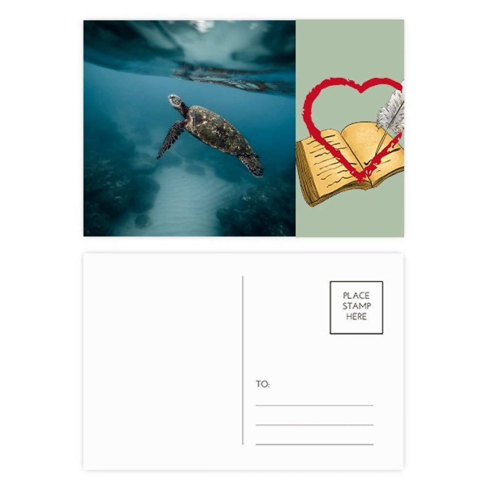 Ocean Sea Turtle Science Nature Picture Diary Day Lot de 20 cartes postales de remerciement