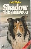 Shadow the Sheepdog