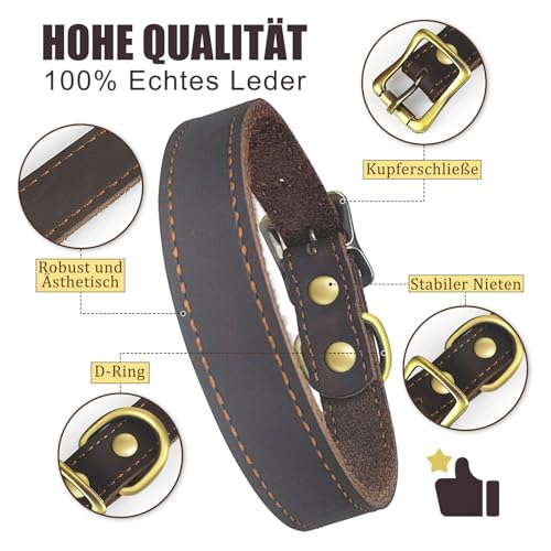 Qianruida Genuine Leather Dog Collar Heavy Duty Dog Collar for Walking & Training Puppy Collars Adjustable Soft Comfortable Strong Pet Collars for Puppy Small Dogs Brown - Image 2