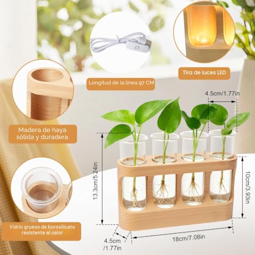 Jarrones de vidrio hidropónico decorativos con luces LED para interior 3