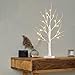 EAMBRITE Lighted Birch Tree Spring Decorations for Home, White Birch Tree with Lights, 24 LED Lighted Mini Money Tree Twig Tree Battery Operated with Timer, Christmas Indoor Centerpiece Decor (2FT)